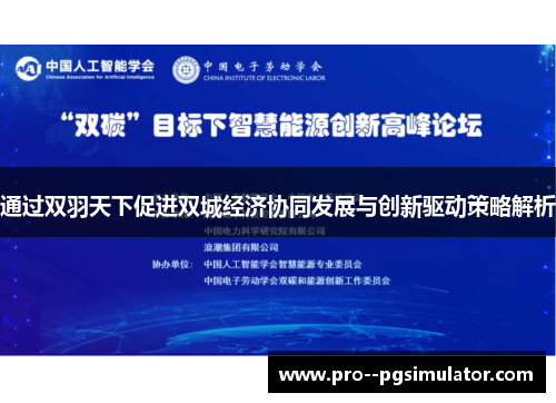 通过双羽天下促进双城经济协同发展与创新驱动策略解析 通过双羽天下促进双城经济协同发展与创新驱动策略解析