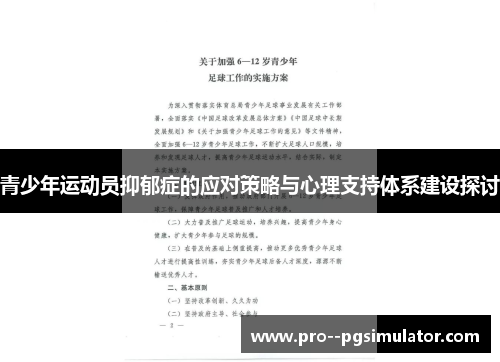 青少年运动员抑郁症的应对策略与心理支持体系建设探讨